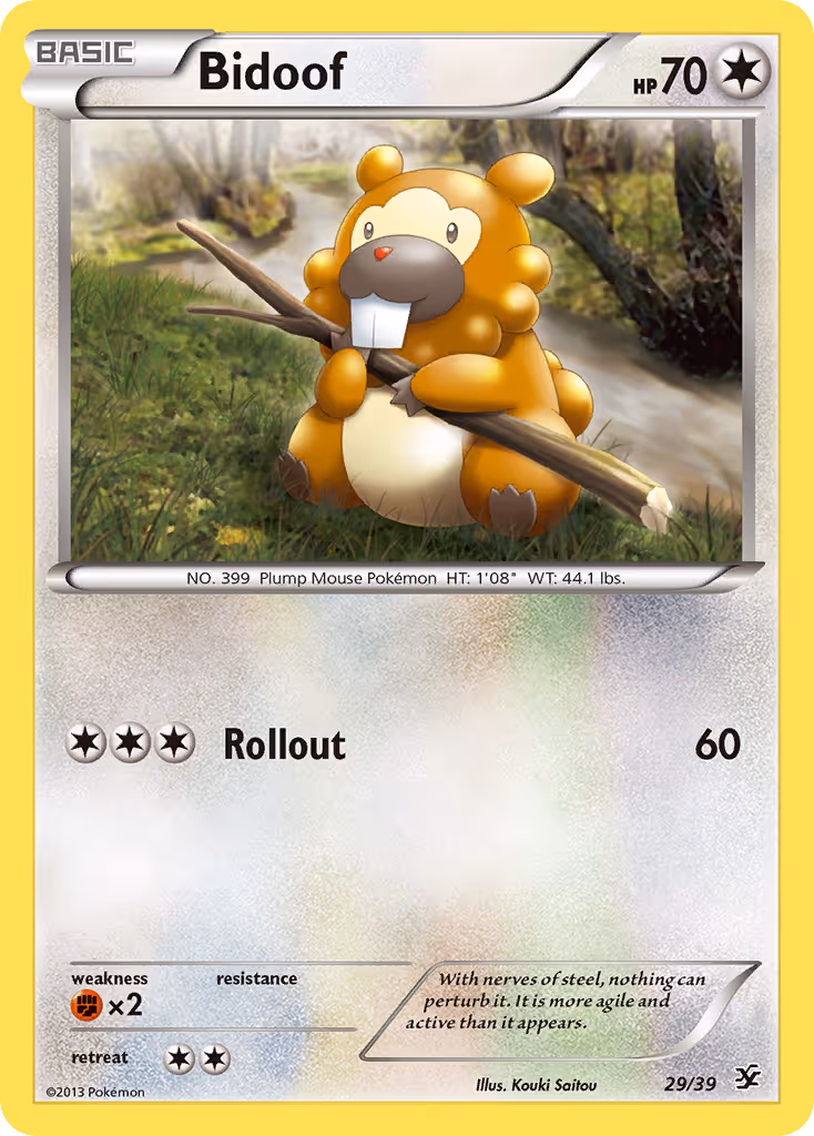Bidoof 29/39 Pokemon card