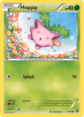 Hoppip 3/114 Pokemon card