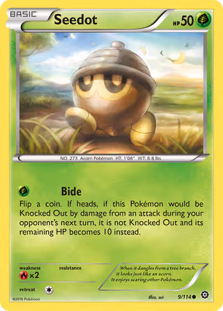 Seedot 9/114 Pokemon card