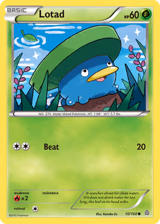 Lotad 10/160 Pokemon card