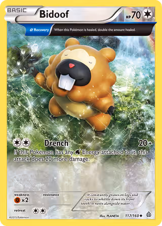Bidoof 117/160 Pokemon card