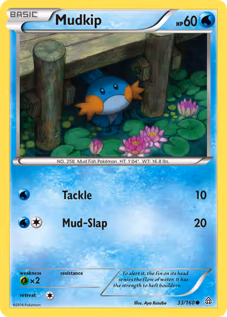 Mudkip 33/160 Pokemon card