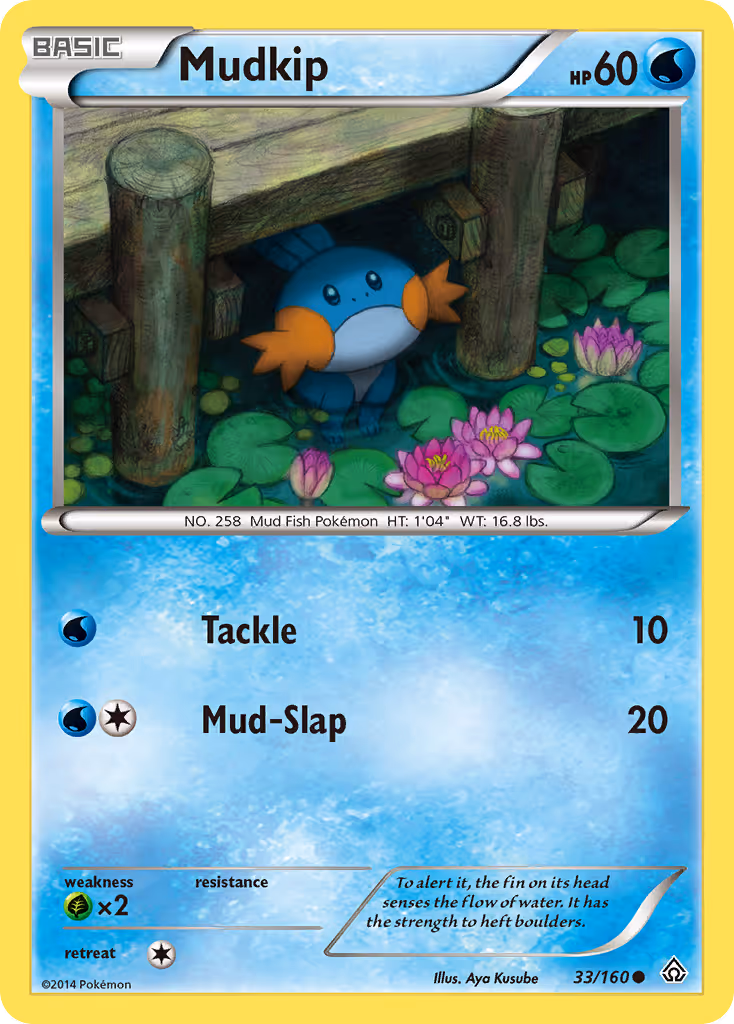 Mudkip 33/160 Pokemon card