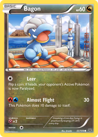 Bagon 55/108 Pokemon card