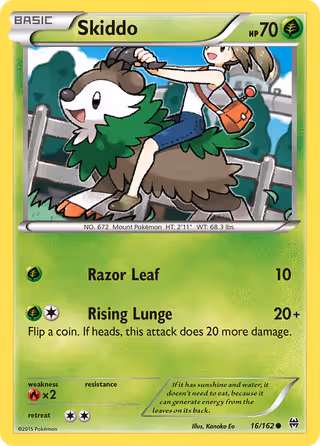 Skiddo 16/162 Pokemon card