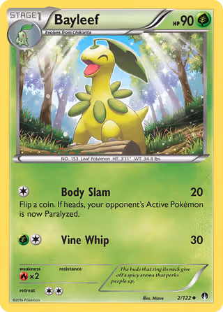 Bayleef 2/122 Pokemon card
