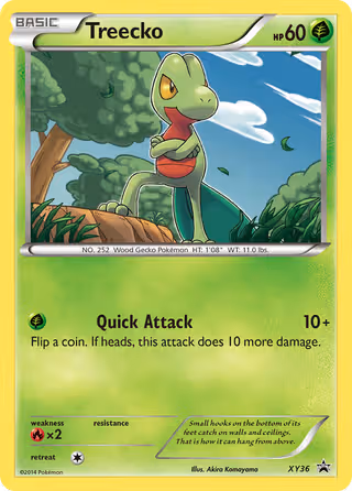 Treecko XY36 Pokemon card