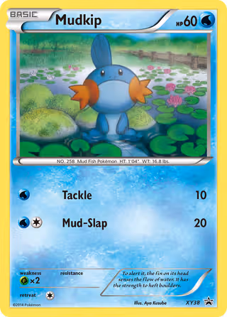 Mudkip XY38 Pokemon card
