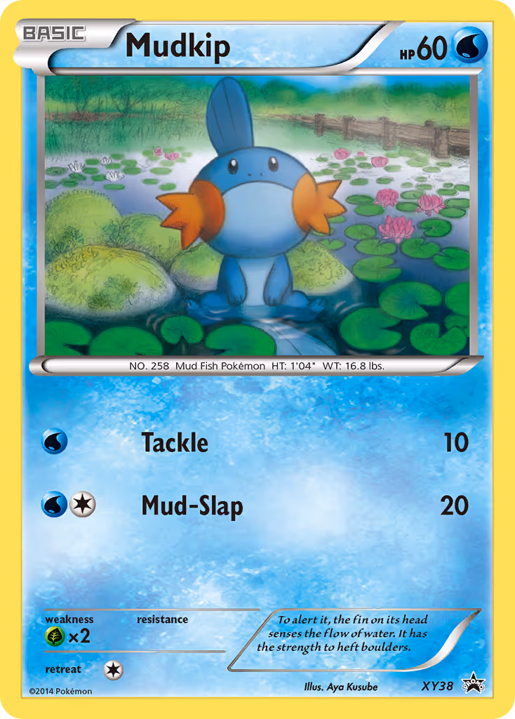 Mudkip XY38 Pokemon card